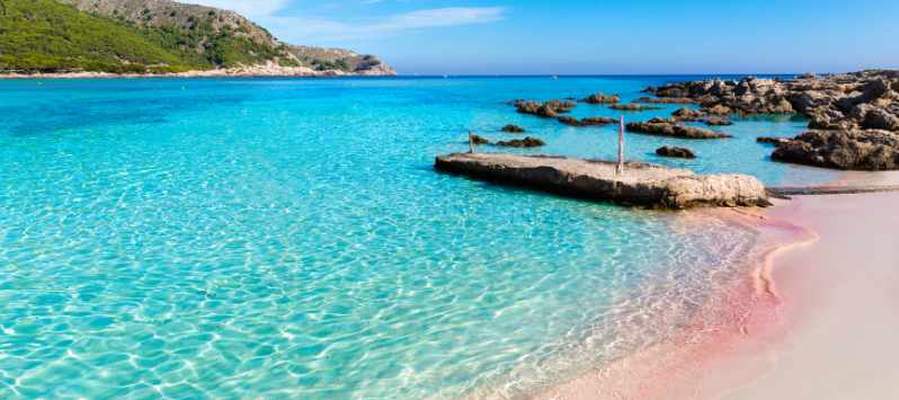 Spring – the best time of the year to visit mallorca! Ca's Saboners Beach Aparthotel Palmanova