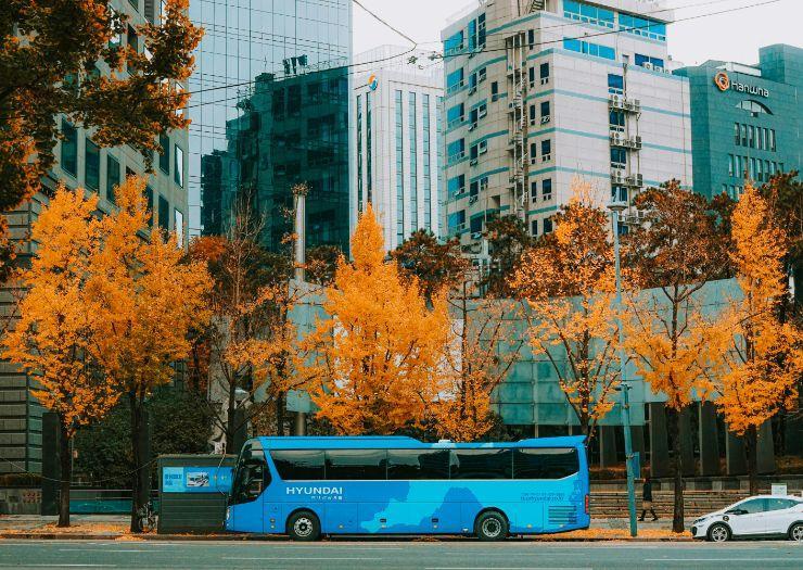 Transfer Ca's Saboners Beach Aparthotel Palmanova Transfer Ca's Saboners Beach Aparthotel Palmanova