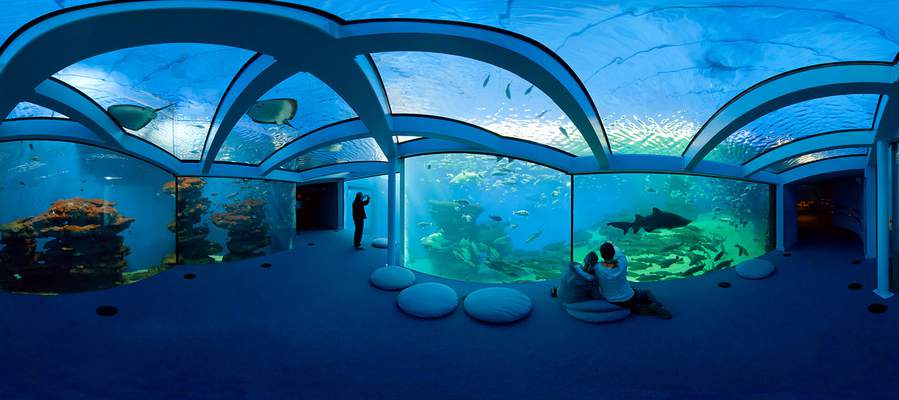 Palma aquarium family activities mallorca cas saboners palmanova ca's saboners beach aparthotel Palma aquarium family activities mallorca cas saboners palmanova ca's saboners beach aparthotel