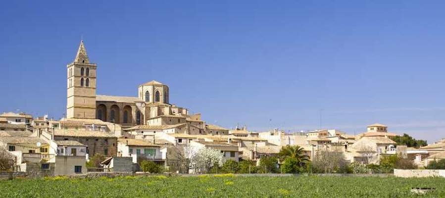 Markets on mallorca – tradition and local products Ca's Saboners Beach Aparthotel Palmanova