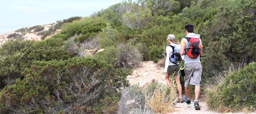 Hiking routes near cas saboners Ca's Saboners Beach Aparthotel Palmanova