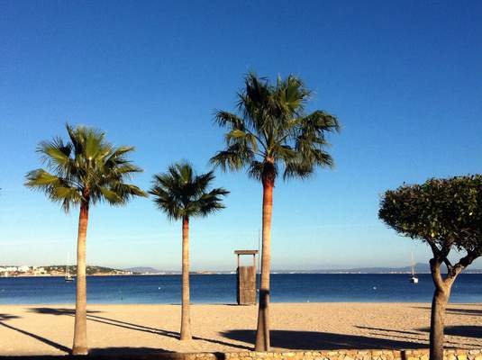 Palmanova beach ca's saboners beach aparthotel Palmanova beach ca's saboners beach aparthotel