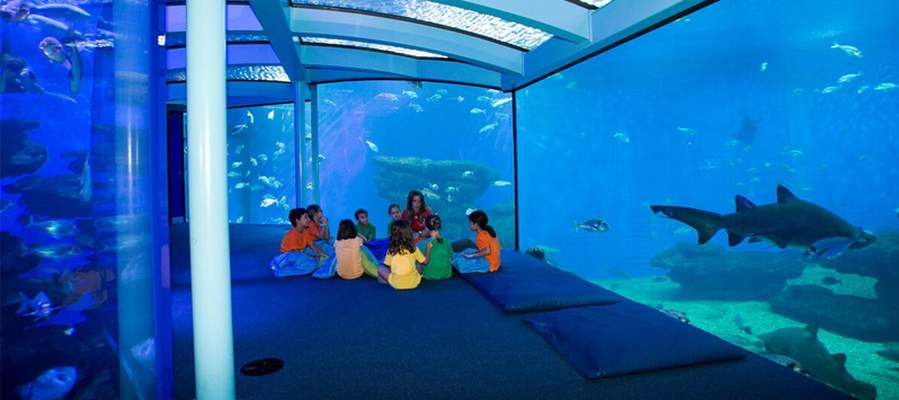 Palma aquarium mallorca cas saboners spring ca's saboners beach aparthotel palmanova Palma aquarium mallorca cas saboners spring ca's saboners beach aparthotel palmanova
