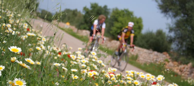 Mallorca: a cyclist’s paradise Ca's Saboners Beach Aparthotel Palmanova Mallorca: a cyclist’s paradise Ca's Saboners Beach Aparthotel Palmanova