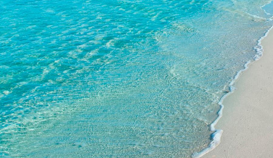 Beach day near Cas Saboners Ca's Saboners Beach Aparthotel Palmanova Beach day near Cas Saboners Ca's Saboners Beach Aparthotel Palmanova