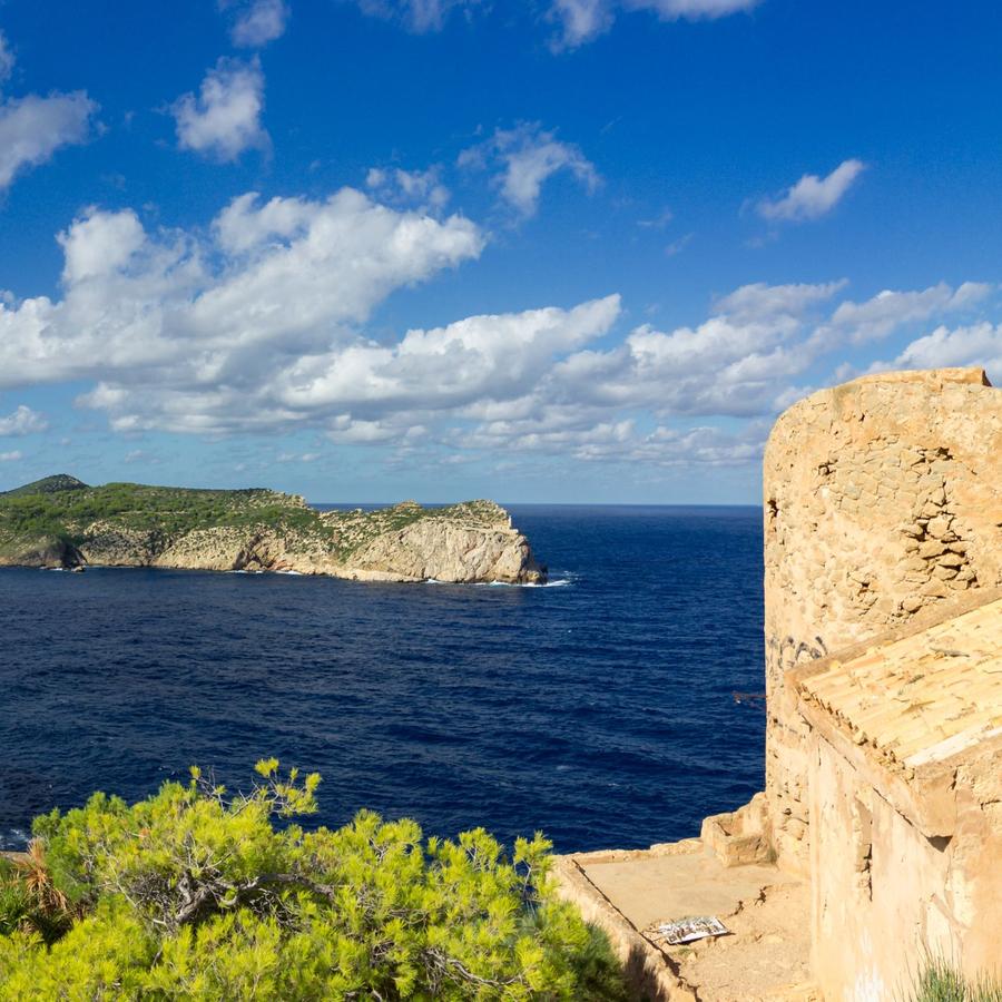 Family excursions to enjoy this spring in Mallorca Ca's Saboners Beach Aparthotel Palmanova Family excursions to enjoy this spring in Mallorca Ca's Saboners Beach Aparthotel Palmanova