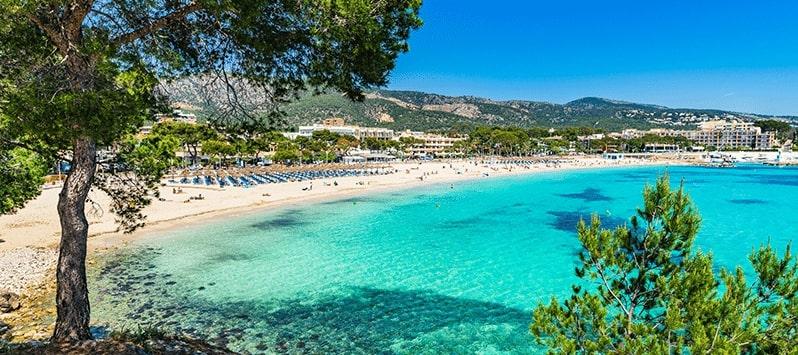 Discover Palmanova Ca's Saboners Beach Aparthotel Discover Palmanova Ca's Saboners Beach Aparthotel