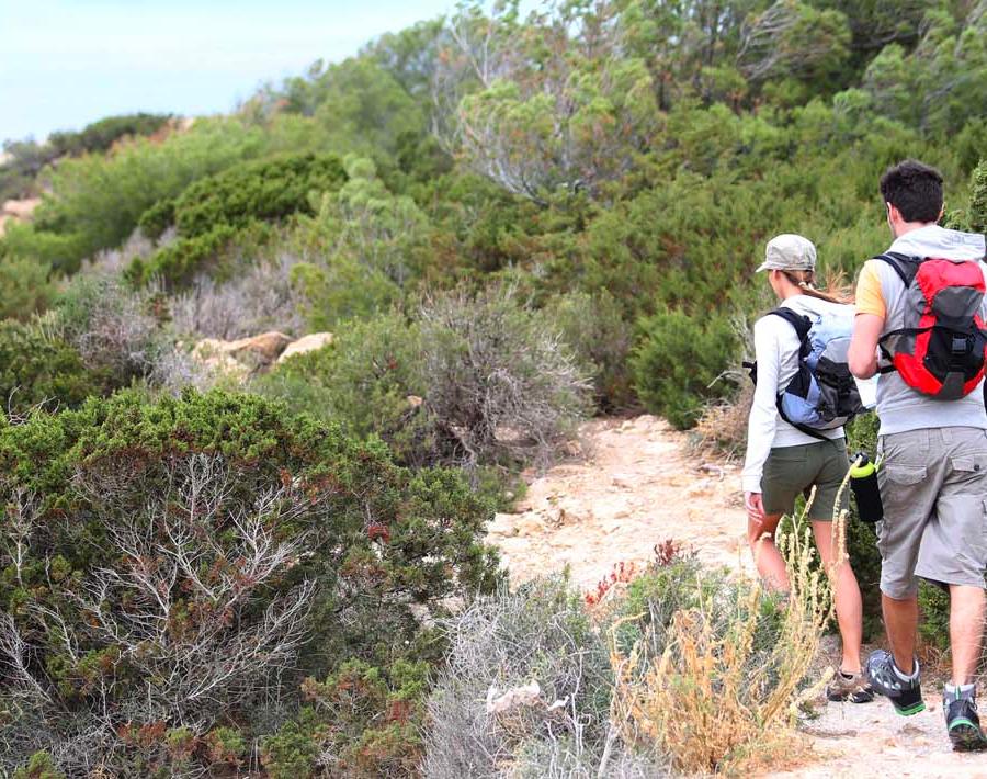 Hiking routes near Cas Saboners Ca's Saboners Beach Aparthotel Palmanova Hiking routes near Cas Saboners Ca's Saboners Beach Aparthotel Palmanova